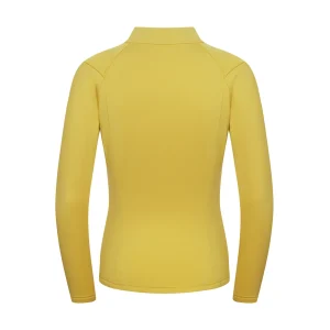 Cheap Fjord Nansen Bluza VIK 1/4 ZIP WOMEN amber yellow