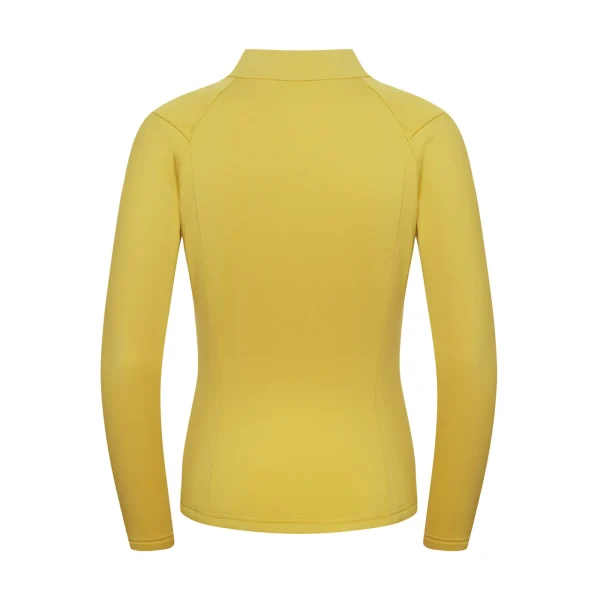 Cheap Fjord Nansen Bluza VIK 1/4 ZIP WOMEN amber yellow