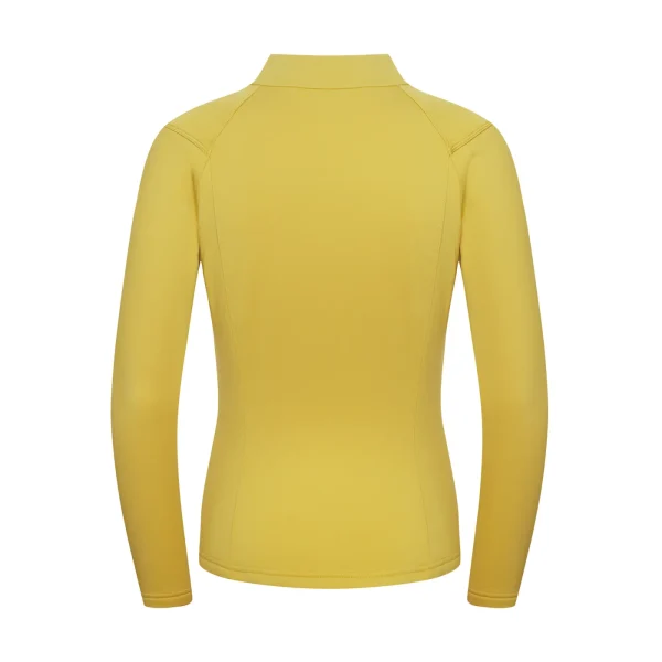 Best Sale Fjord Nansen Bluza VIK FULL ZIP WOMEN amber yellow